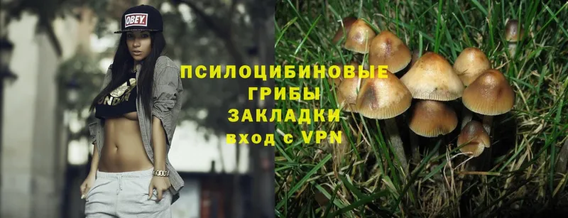 МЕГА как войти  где можно купить   Бугуруслан  Галлюциногенные грибы Magic Shrooms 